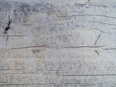 tasarım için yıpranmış boyalı ahşap, Grunge yüzey arka plan