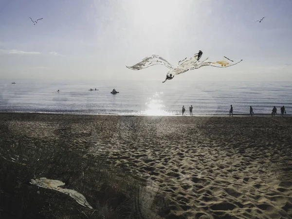 Gaviotas del mar en el mar, vibraciones de verano — Foto de Stock