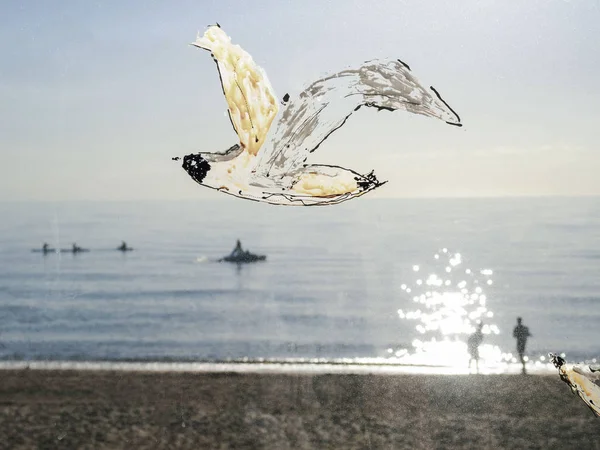 Морские чайки на море, летние вибрации — стоковое фото