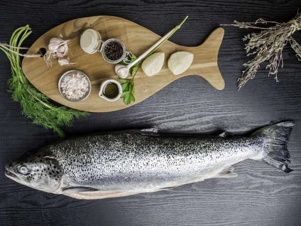 Tahta masa üzerinde taze çiğ somon ile, tuz, biber, sarımsak, limon, dereotu, maydanoz, kuru kekik ile Kurulu