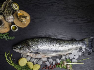 Buz küpleri somon balık, siyah ahşap masa üzerinde pişirme için malzemelerle çiğ somon balık bütün. Üstte görüntü