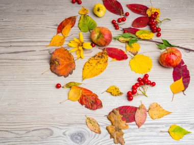 Sonbahar Şükran Arka Plan, renkli karışık yaprakları ile, kopya alanı. Sezonluk teklif için mockup