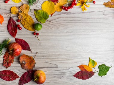 Sarı, yeşil ve kırmızı ağaç sonbahar yaprakları, elma ve çilek ahşap arka plan üzerinde çerçeve kompozisyon. Sonbahar ruh hali ile büyük sezon doku. Ekim arka plan.