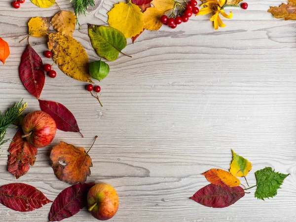 Sarı, yeşil ve kırmızı ağaç sonbahar yaprakları, elma ve çilek ahşap arka plan üzerinde çerçeve kompozisyon. Sonbahar ruh hali ile büyük sezon doku. Ekim arka plan.