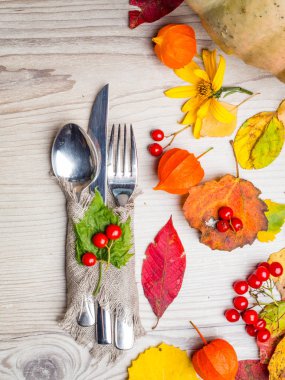 Şükran sonbahar sonbahar tablo ayarı kopya alan arka plan, kabak ile, yaprak, kırmızı çilek