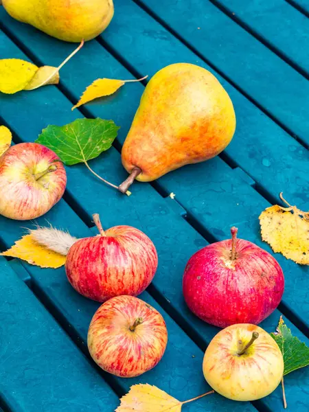 Manzanas rojas orgánicas y peras en la mesa de jardín de plástico, fondo de otoño — Foto de Stock