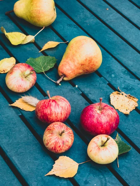 Manzanas y peras frescas en la temporada de otoño, hojas amarillas y verdes en la mesa de jardín — Foto de Stock