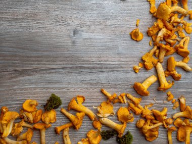 Rustik ahşap arka plan üzerinde sarı chanterelle cantharellus cibarius