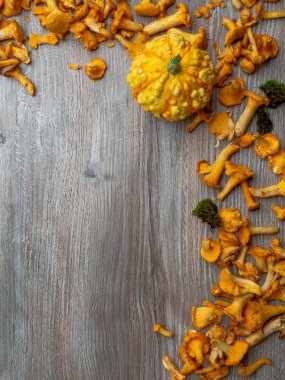 Sarı chanterelle cantharellus cibarius ve balkabağı rustik ahşap arka plan, sonbahar kompozisyon