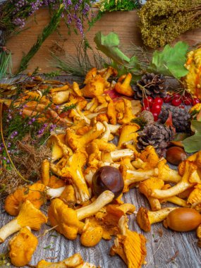 Kabak ile Sonbahar natürmort, chantelle mantar, mısır, meşe palamudu, koni, kırmızı çilek, bitkisel, kestane ve ahşap arka plan yaprakları, seçici odak , yakın