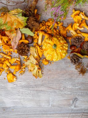 Kabak ile Sonbahar natürmort, chantelle mantar, mısır, meşe palamudu, koni, kırmızı çilek, bitkisel, kestane ve ahşap arka plan yaprakları, seçici odak , yakın