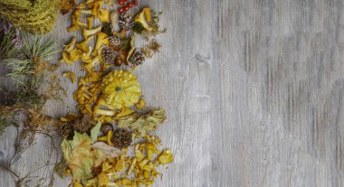 Bir kabak, mantar, kestane, kırmızı çilek, çam iğneleri, koniler ve düşmüş yaprakları ile Sonbahar natürmort