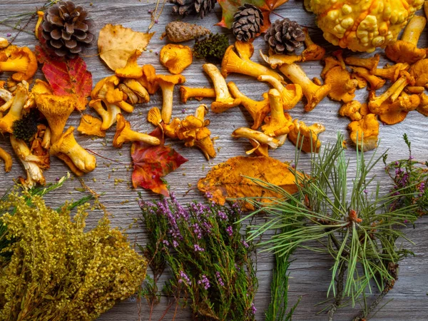 Nature morte d'automne avec citrouille, champignons, châtaignes, baies rouges, aiguilles de pin, cônes et feuilles mortes — Photo