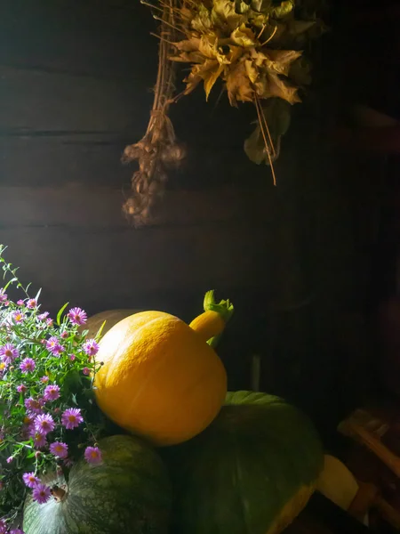 Φθινόπωρο ή Ευχαριστίες Μπουκέτο με κολοκύθες και μοβ λουλούδια. — Φωτογραφία Αρχείου