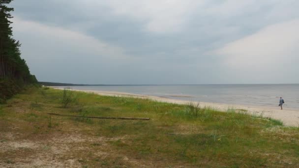 Lonely Man Promenad Wild Beach Kusten Med Vacker Utsikt — Stockvideo