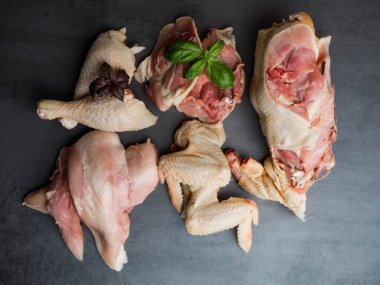 Gri arka planda taze çiğ tavuk parçaları. Göğüs, kanatlar ve bacaklar, fesleğenli fileto, seçici odaklanma