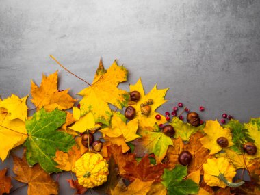 Sonbahar yaprakları, balkabakları, meşe palamutları, Şükran Günü için chesnuts ve sonbahar tatilleri. Kopyalama alanı olan alt sınır arkaplanı