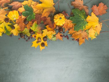 Sonbahar yaprakları, balkabakları, meşe palamutları, Şükran Günü için chesnuts ve sonbahar tatilleri. Kopyalama alanı olan alt sınır arkaplanı