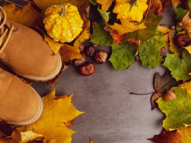 Sonbahar ve sonbahar kompozisyonu. Kurumuş renkli yaprakların üzerinde duran bej çizmeler. Sarı, kırmızı, yeşil, turuncu akçaağaç yaprakları, meşe palamudu, chesnuts arkaplan. Düz yerde, üst tarafta. Sonbahar kavramı.