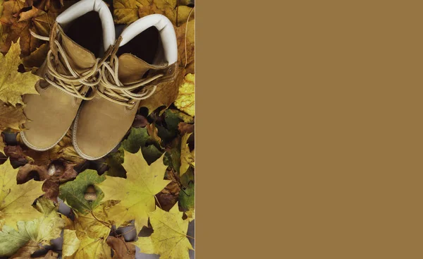 Fashionable beige shoes on the background of bright colorful autumn foliage, top view — Stock Photo, Image
