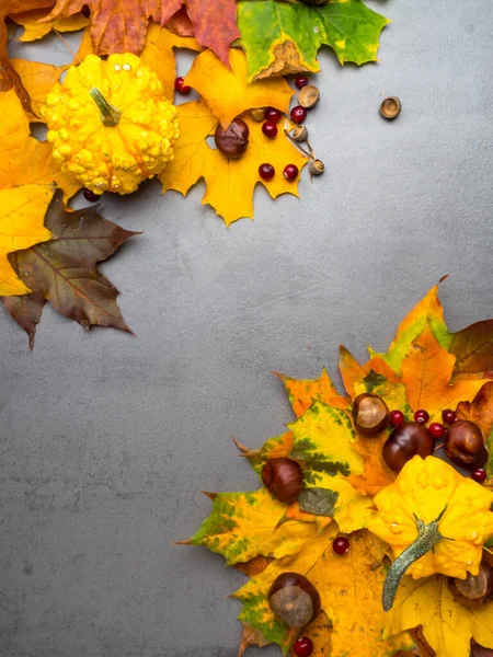 Thanksgiving background: Pumpkins, chestnuts, acorns fallen leaves on grey concrete background.