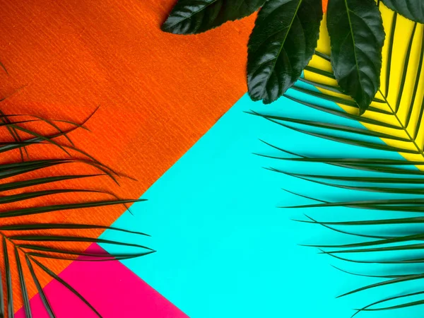 Sommarkoncept.Tropisk sommarbakgrund. Palmer grenar på mynta, orange, gul bakgrund — Stockfoto