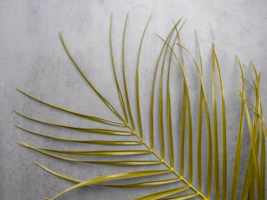 Yaprak deseni. Gri arka planda altın rengi tropikal yapraklar. Yaz kavramı. Düz yatıyordu