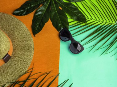 Yaz dönemi. Tatil, tatil, seyahat, turizm. Şapka, renkli arka planda tropikal palmiye yaprakları. Metin için boşluk olan üst görünüm.
