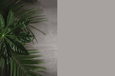 Yaprak deseni. Gri arka planda altın rengi tropikal yapraklar. Yaz kavramı. Düz taban.