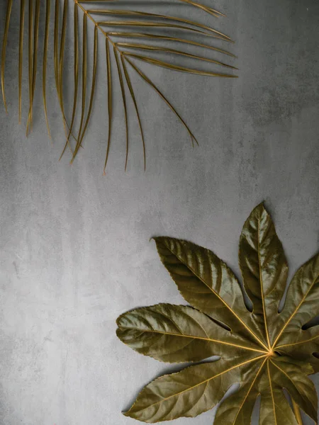 Bladmönster. Guld färg tropiska blad på grå bakgrund. Sommarkoncept. Platt layout.Tonad — Stockfoto