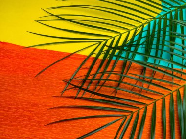 Nane şekerli palmiye yaprağı, turuncu ve sarı arka plan. Moda minimalizmi. Yaz havası