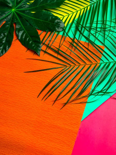 Palmblad på trendig mynta, orange rosa gul bakgrund. Modeminimalism. Sommarstämning — Stockfoto