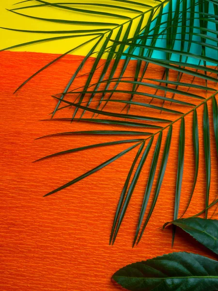 Folha de palma na moda hortelã, laranja e fundo amarelo. minimalismo de moda. Humor de verão — Fotografia de Stock