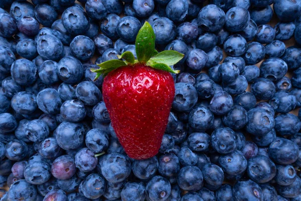 Blaubeere Und Erdbeere Beeren Reich Antioxidantien Vitamin Nahaufnahme — Stockfoto