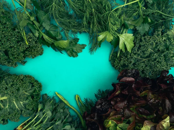 Dill Petrezselyem Mangold Mikro Zöldek Mogyoróhagyma Kék Alapon Vitaminokban Antioxidánsokban — Stock Fotó