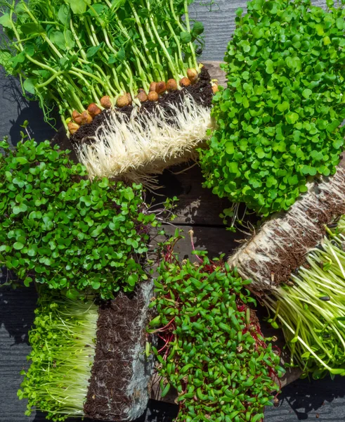 Λαχανάκια Λαχανικών Ξύλινο Φόντο Λαχανικά Υγιεινή Διατροφή Πλούσια Φυτικές Ίνες — Φωτογραφία Αρχείου