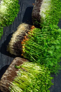 Ahşap arka planda küçük yeşillikler, sebze yeşillikleri. Sağlıklı beslenme konsepti lif, vitamin ve antioksidan açısından zengin