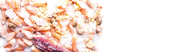 Различные Замороженные Морепродукты Такие Креветки Улитка Кубиках Льда — стоковое фото