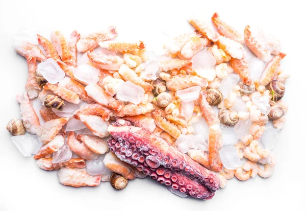 Różne Mrożone Owoce Morza Jak Krewetki Ślimak Kostkach Lodu — Zdjęcie stockowe