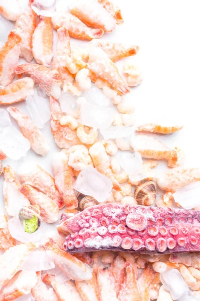 Różne Mrożone Owoce Morza Jak Krewetki Ślimak Kostkach Lodu — Zdjęcie stockowe