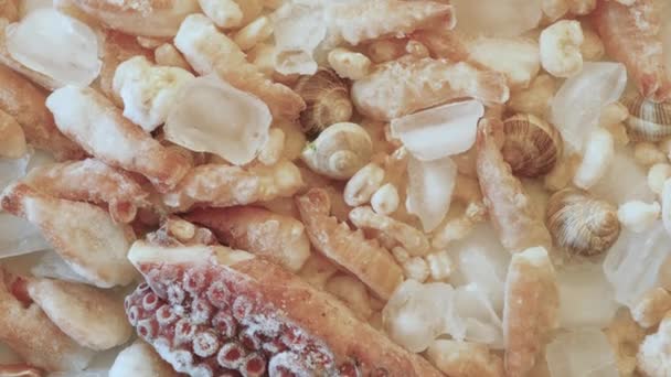 Frutti Mare Surgelati Vicino Cibo Ricco Antiossidanti Iodio Cibo Sano — Video Stock