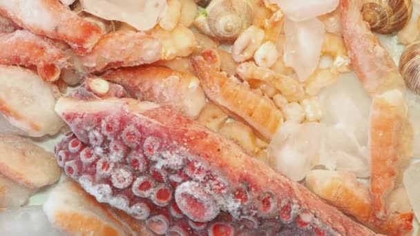 Donmuş Deniz Ürünleri Antioksidan Iyot Açısından Zengin Yiyecekler Karides Ahtapot — Stok video
