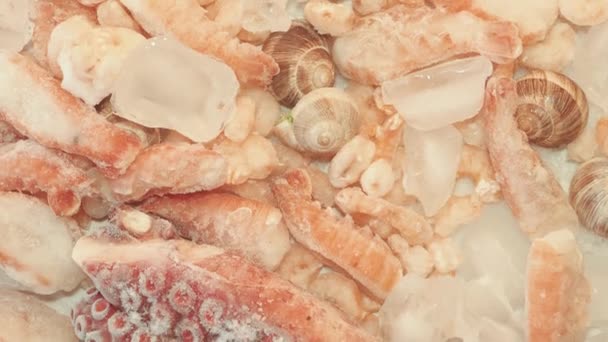 Mariscos Congelados Cerca Alimentos Ricos Antioxidantes Yodo Alimento Saludable Como — Vídeos de Stock