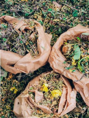 Eko sıfır atık kağıt torbalarında şifalı bitkilerin karışımı, yakın çekim, bitkisel ilaçlar, üst görüş. Düz yatıyordu.