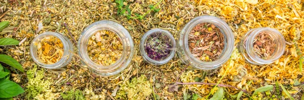 Szárított Természetes Gyógynövények Választéka Tea Üvegben Fitoterápia Kozmetológia Gyógynövénykeverék Aromaterápiához — Stock Fotó
