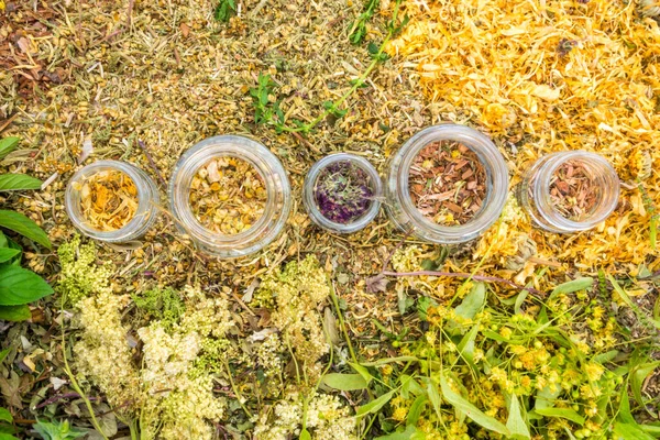 Kurumuş Doğal Şifalı Bitkiler Cam Şişelerde Çay Beden Eğitimi Kozmetoloji — Stok fotoğraf