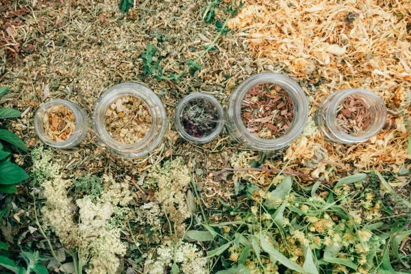 配送天然药草 玻璃瓶茶 植物疗法 化妆品学 芳香疗法混合草药 有选择的重点 — 图库照片