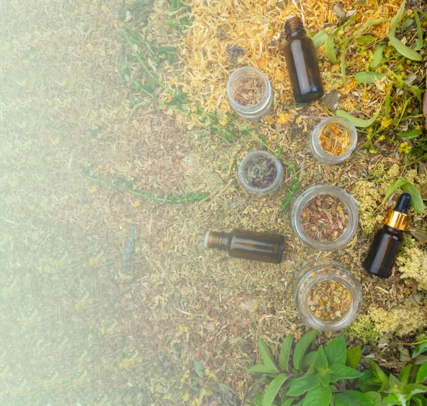 Bottles of tincture or oil and dry healthy healing herbs. Herbal medicine, aromatherapy essential oil bottle, top view, close up