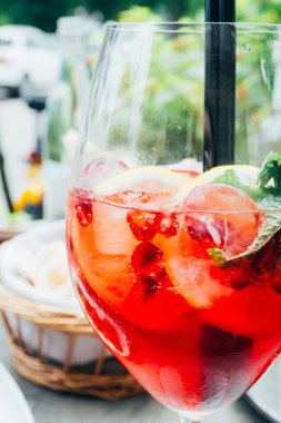 Nane, limon dilimleri ve kırmızı böğürtlenli yaz kokteyli, yaz ferahlatıcı içecek. Meyve kokteyli.