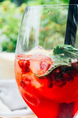 Nane, limon dilimleri ve kırmızı böğürtlenli yaz kokteyli, yaz ferahlatıcı içecek. Meyve kokteyli.